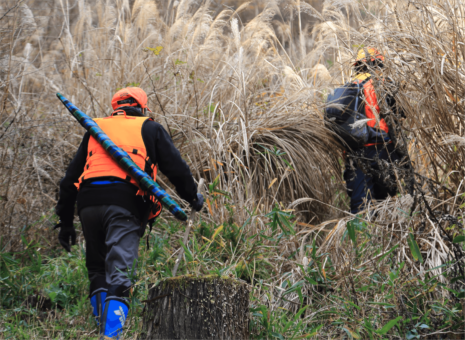 契約猟師からの直仕入れ