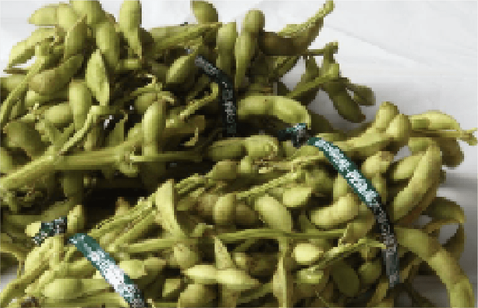 黒枝豆（季節限定）